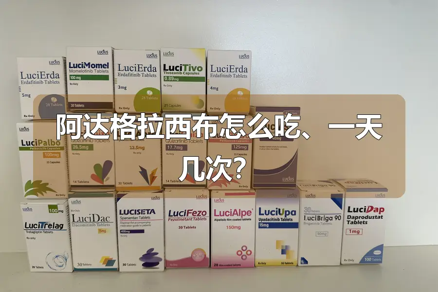 阿达格拉西布怎么吃、一天几次？